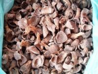 PKS Palm Kernel Shell