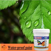 offer Water-proof paint