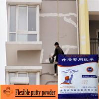 Sell Flexible putty powder