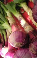 Sell red onion  in egypt