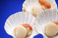 Shucked IQF frozen King Scallops in Half shell from Galicia-Spain