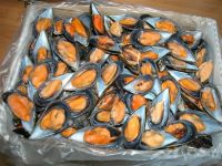 Cooked IQF Frozen Mussels in Half Shell from Galicia - Spain