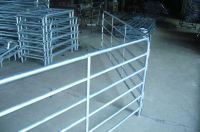 Sell the galvanized horse fence