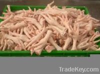 Export Chicken Paw | Chicken Feet Suppliers | Poultry Feet Exporters | Chicken Feets Traders | Processed Chicken Paw Buyers | Frozen Poultry Paw Wholesalers | Low Price Freeze Chicken Paw | Best Buy Chicken Paw | Buy Chicken Paw | Import Chicken Paw | Chi