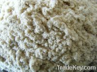 Sell white poplar wood powder