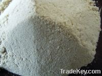 supply 80mesh poplar wood flour