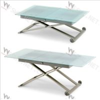2011 Extendable Glass Dining Table WC-BT166