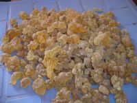 GUM OLIBANUM/Frankincense