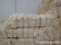 Sisal Fibre Exporter