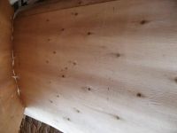 Sell Eucalyptus Core Veneer For Decoration