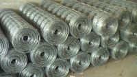 welded Wire Mesh