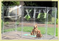 Sell pet cages (factory)