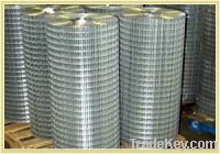 Sell Welded Mesh Panel