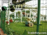 Sell PVC coated double loop garden fence