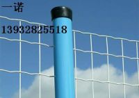 Sell holland electric welded wire mesh