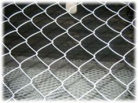 sell chain link fence with  Hexagonal  shape