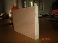 Sell  combi core plywood