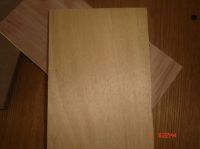 Sell 1220 x 2440mm commercial plywood
