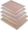 Sell plywood for building