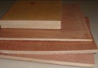 Sell high quality  plywood