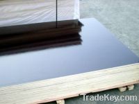 Sell black film face plywood