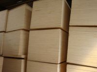 factory directly saler film face plywood plywood board