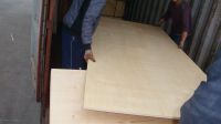 birch face okume plywood board/1220x2440mm mr wbp glue