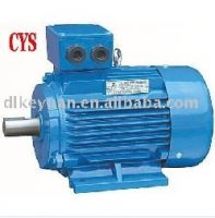 electric  motor