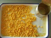 Sell canned sweet corn kernel