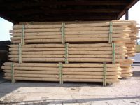 Wood poles for Vineard and Orchard