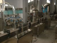 Sell Automatic Bottled Juice Production Line