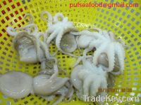 Selling frozen baby octopus