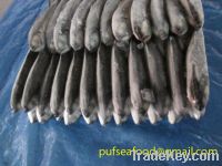 Sell frozen horse mackerel