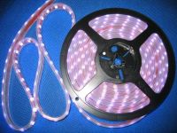 Sell led SMD strip