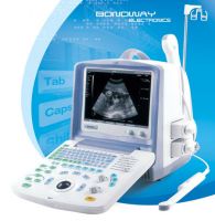 Sell Digital Ultrasound Scanner (BW8S)