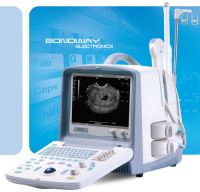 Sell Digital Ultrasound Scanner (BW8T)