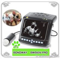 Sell Digital Wrist-top Veterinary Ultrasound Scanner(BW560V-Pro)