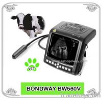 Sell Digital Wrist-top Veterinary Ultrasound Scanner (BW560V)