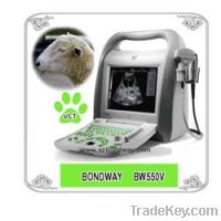 Sell Digital Veterinary Ultrasound Scanner(BW550V)