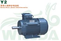 Y2 three phase induction motor