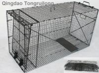 Sell heavy duty folding dog/fox cage trap for Animal control