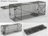 Sell collapsible live cage trap