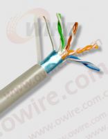 Sell Cat5 FTP Network Cable