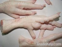 Export Chicken Paw | Chicken Feet Suppliers | Poultry Feet Exporters | Chicken Feets Traders | Processed Chicken Paw Buyers | Frozen Poultry Paw Wholesalers | Low Price Freeze Chicken Paw | Best Buy Chicken Paw | Buy Chicken Paw | Import Chicken Paw | Chi