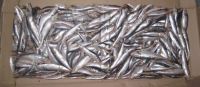 Sell Frozen Sardine whole 20-30 pieces