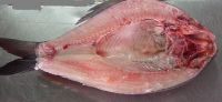 Sell IQF BACK GUTTED ROHU FISH