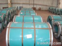 Sell  prepainted galvanized coils & sheets