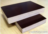 Sell Black Film Faced Plywood 