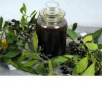 Natural Laurel Berry Oil