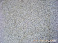 Sell granite paving stone of G682-B